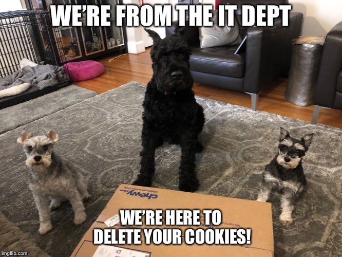 11++ Funny Dog Memes Cookie Factory Memes