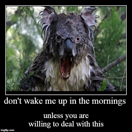 don't wake me up in the mornings Imgflip