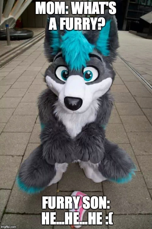 Furry Imgflip
