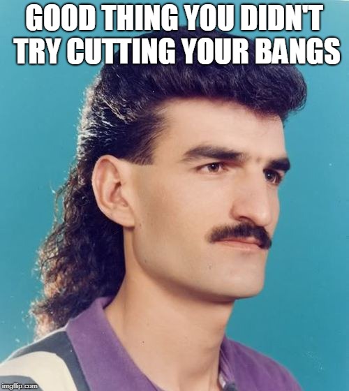 Image tagged in mohawk,memes,funny,funny memes,hair,sideburns Imgflip