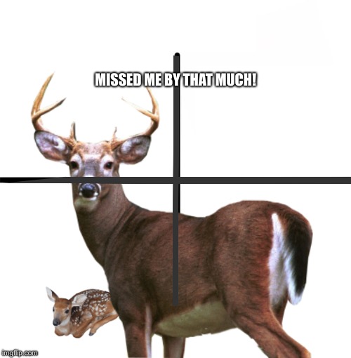 deer Images Imgflip