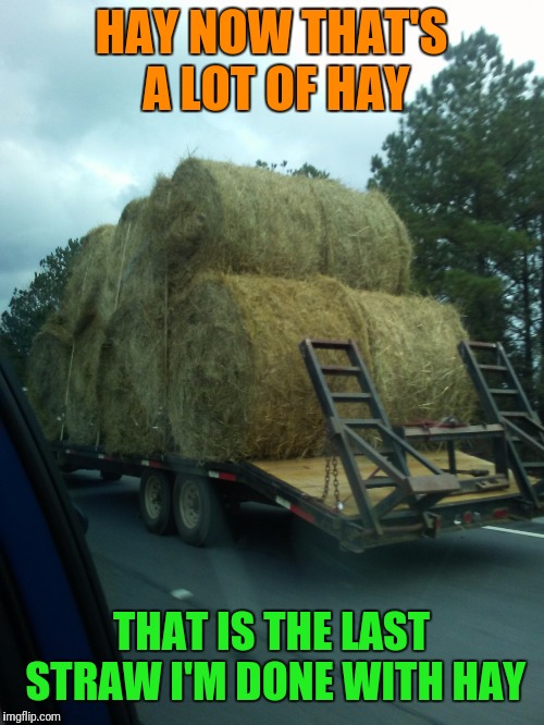hay Memes & GIFs Imgflip