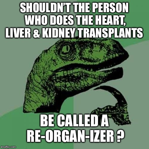 Philosoraptor Meme Imgflip