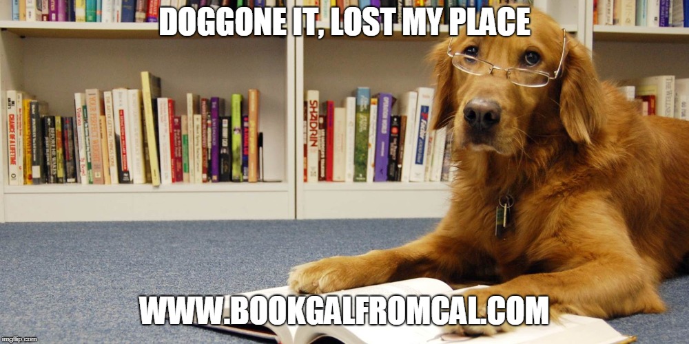 Library Dog Imgflip