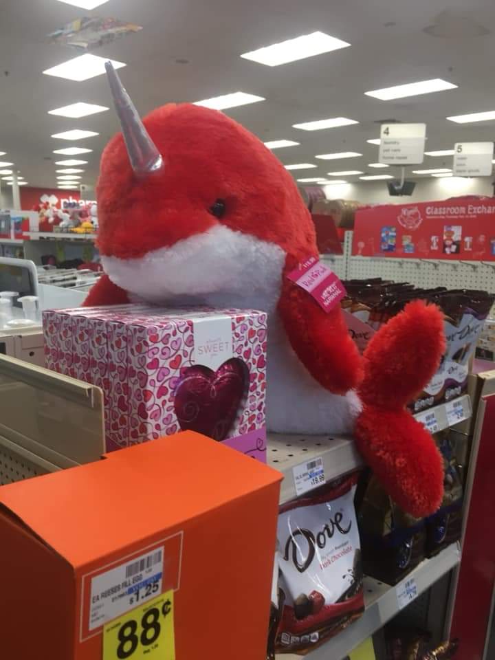 Vengeful Valentine Narwhal Blank Template Imgflip