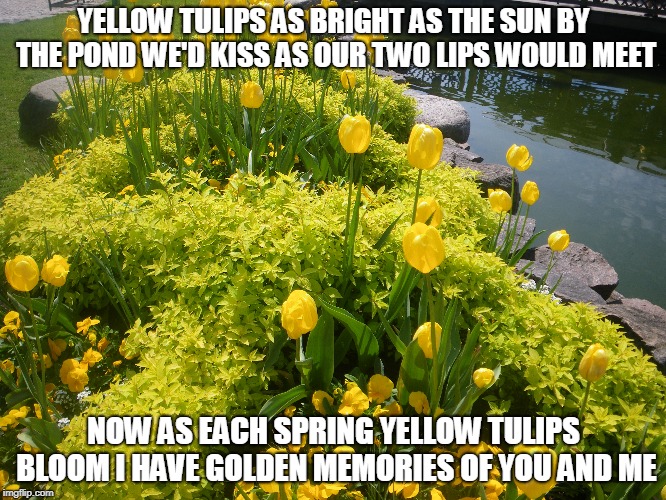 tulips Memes & GIFs Imgflip