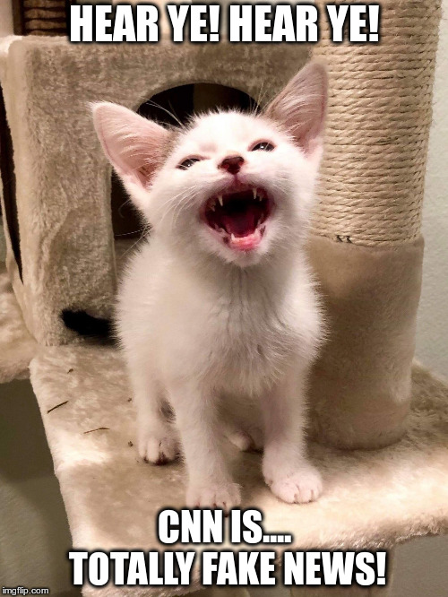 Imgflip Create and Share Awesome Images