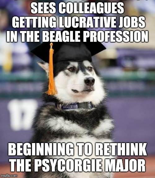 Graduation Meme Dog
