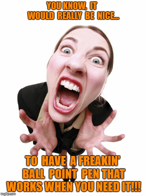 I Have 30 Ballpoint Pens Scattered Around The House And None Of Them