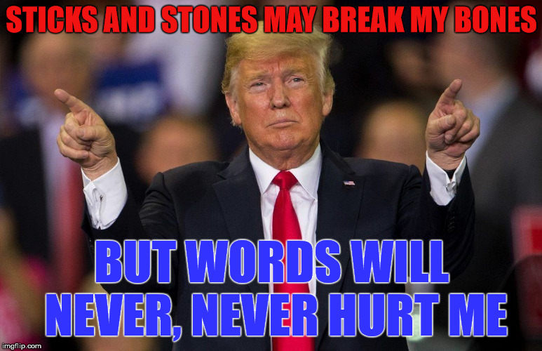 Trump Sticks & Stones Imgflip