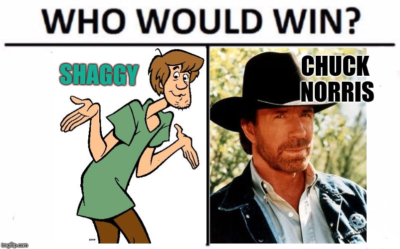 Shaggy Memes Clean