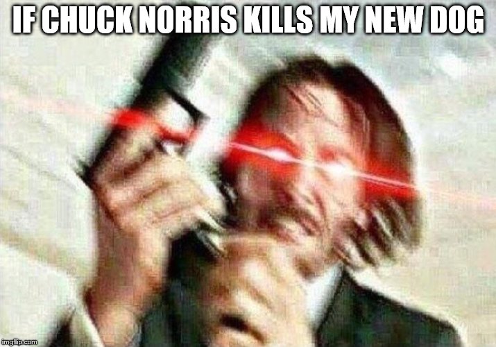 John Wick vs. Chuck Norris Imgflip