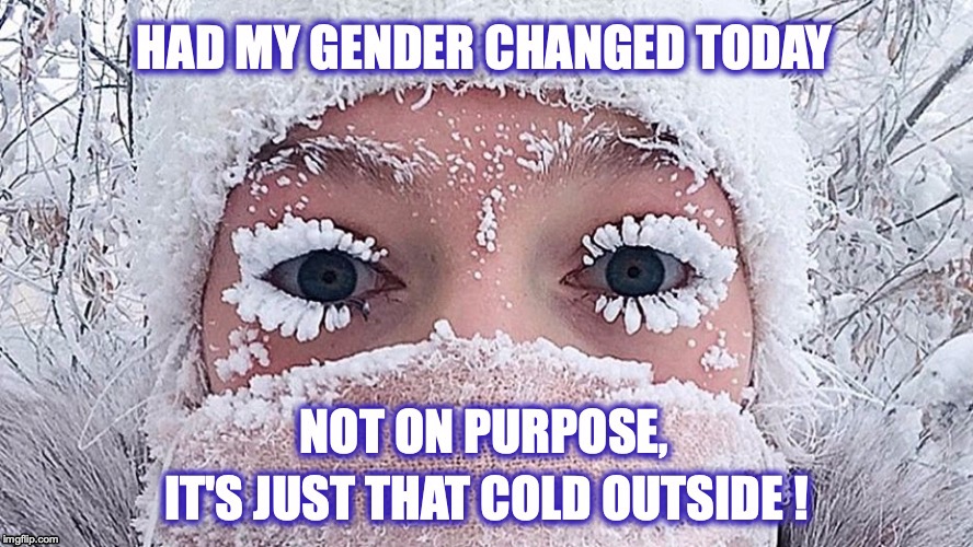 It's so cold.. 'How Cold is it?" Imgflip