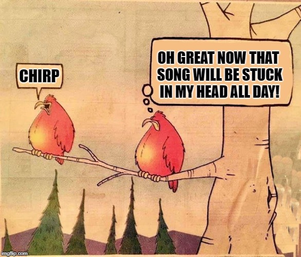 bird Memes & GIFs Imgflip