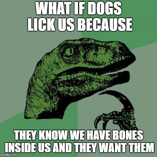 Philosoraptor Meme Imgflip