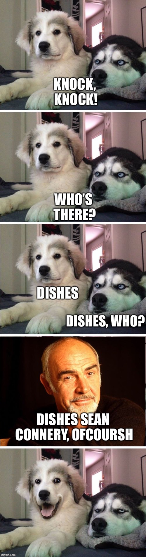 Knock Knock Dogs Memes Imgflip