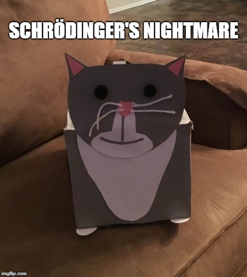 Schrödinger's nightmare Imgflip