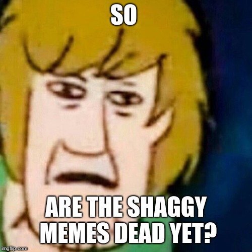 The Shaggy Memes Imgflip