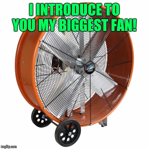 Image tagged in my biggest fan Imgflip