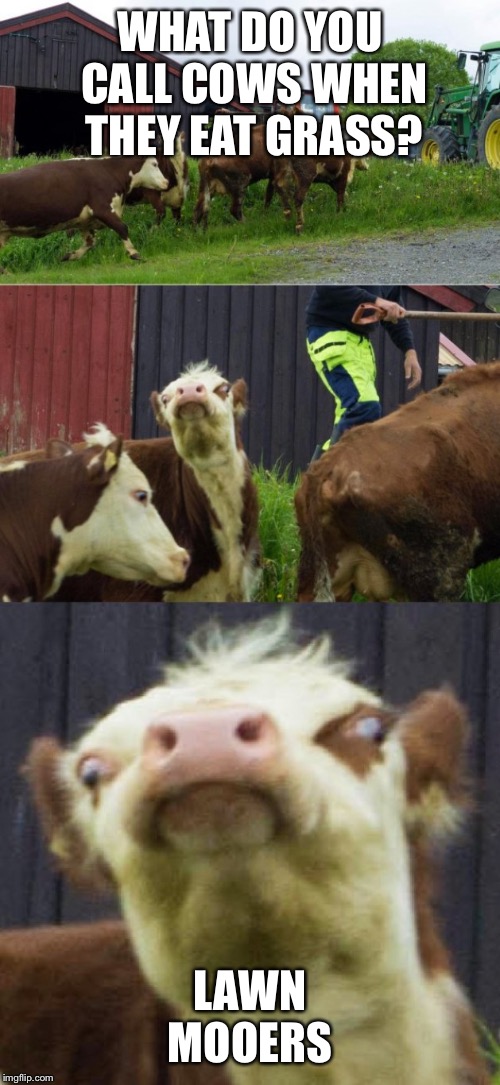 My kid told me this the other day....I’m so proud Imgflip