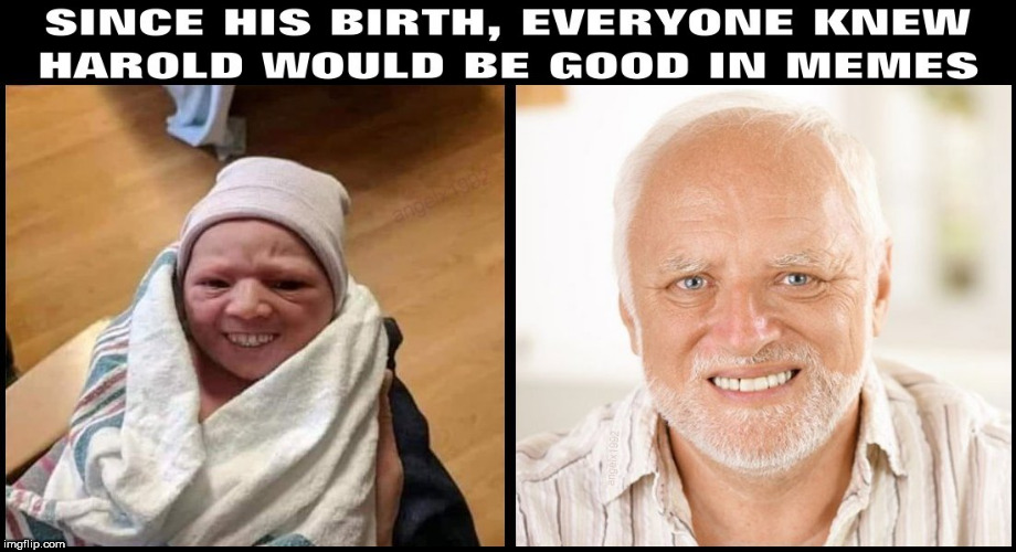 Image tagged in hide the pain harold,baby,harold,teeth,facebook,harold