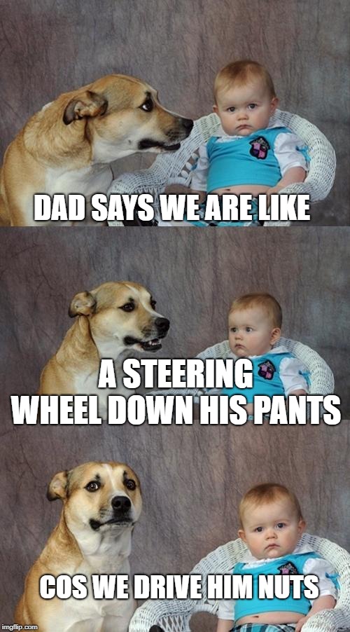 Dad Joke Dog Meme Imgflip