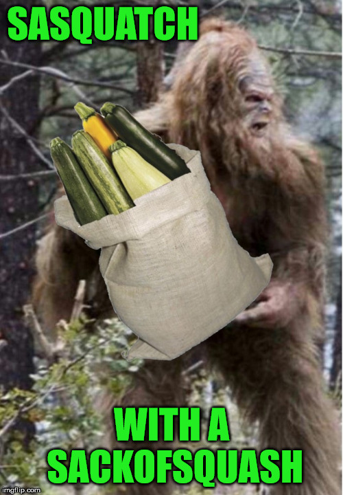 shopping Memes & GIFs Imgflip