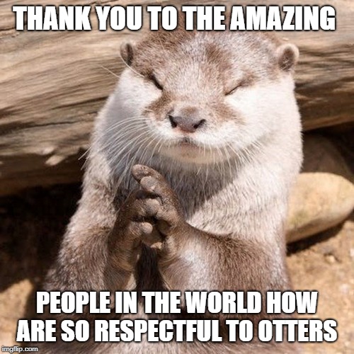 thank you to the amazing people Imgflip