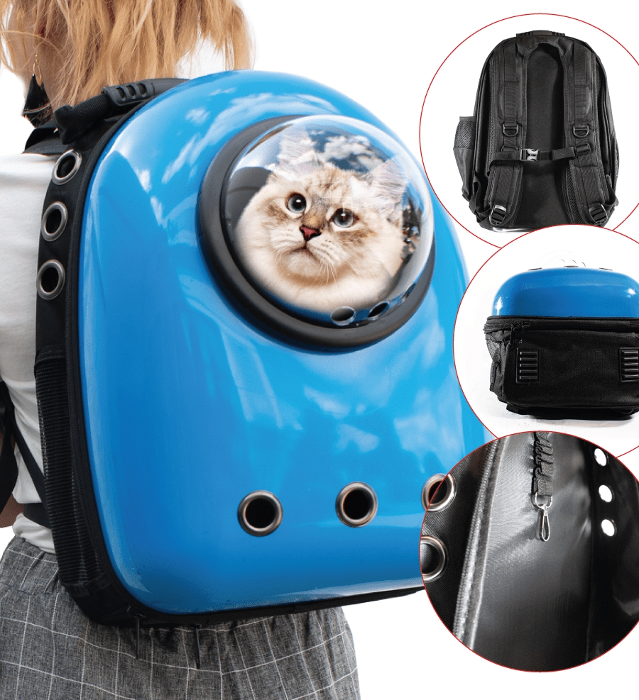 Cat Backpack Meme Best Cat Wallpaper