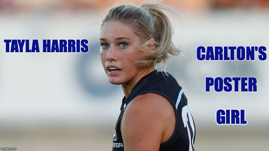 aflw Memes & GIFs Imgflip