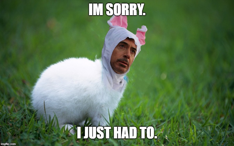 Robert Downey jr. as a freaking rabbit Imgflip