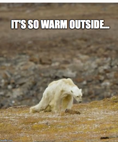 warm weather Imgflip