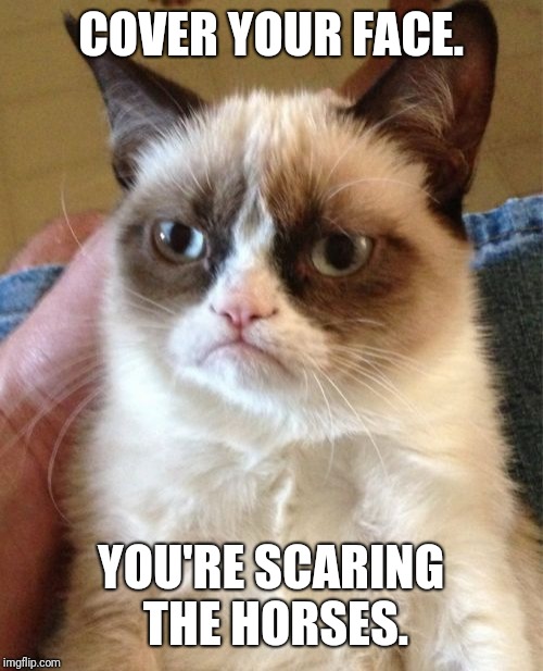 Grumpy Cat Meme Imgflip