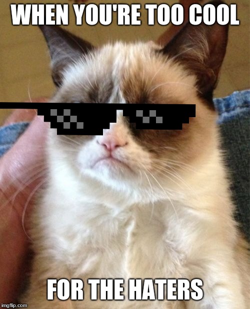 Grumpy Cat Memes Imgflip