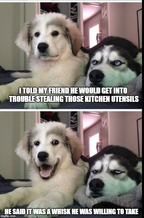 bad joke dogs Imgflip