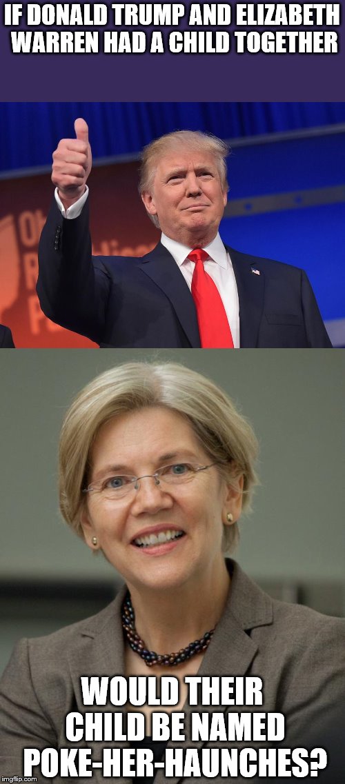 Image tagged in elizabeth warren,donald trump,pocahontas,native