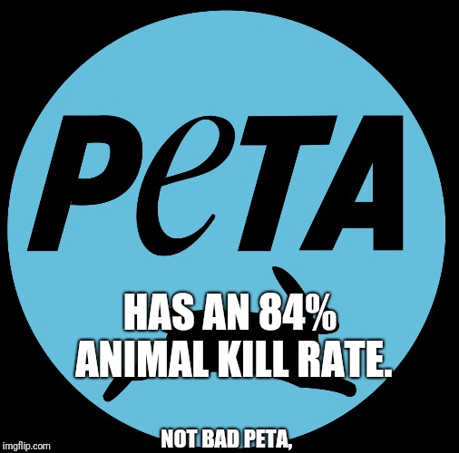 Peta Imgflip