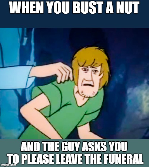 Shaggy meme Imgflip