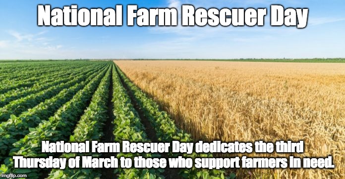 crops Memes & GIFs Imgflip