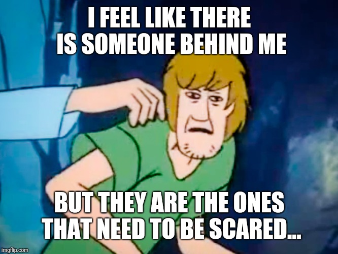 Shaggy meme Imgflip