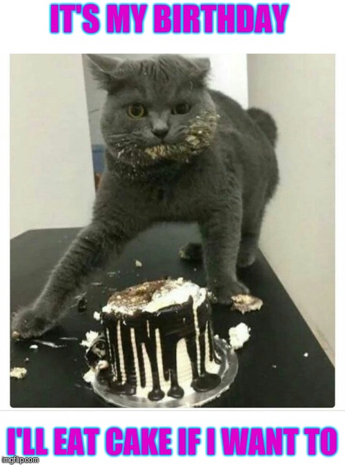 Image tagged in birthday,cat,cake Imgflip