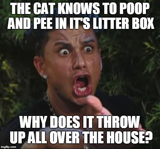 DJ Pauly D Meme Imgflip