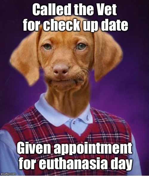 Goes to appointment anyway Imgflip