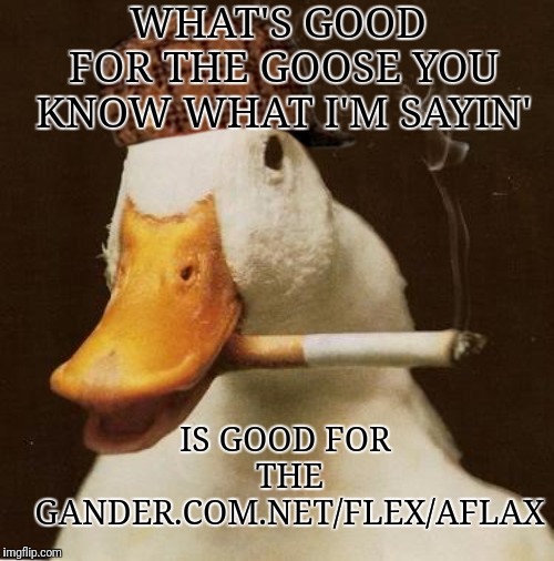 Smoking Duck Imgflip