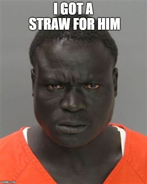 "I dont know how to drink from a cup normally" Florida Man Week (March