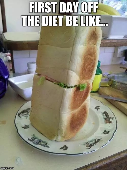 Image tagged in memes,funny,food,dieting,diet Imgflip