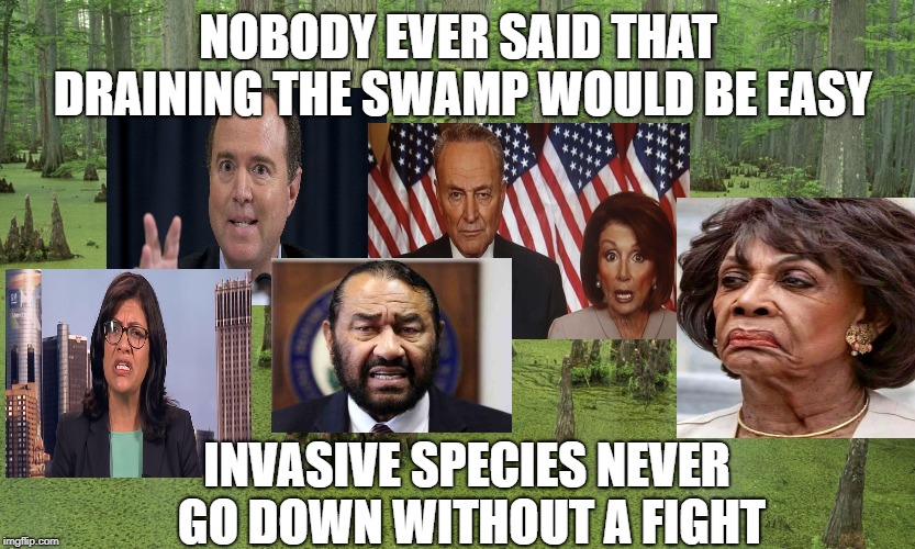 Image tagged in drain the swamp,democrats,maxine waters,adam schiff