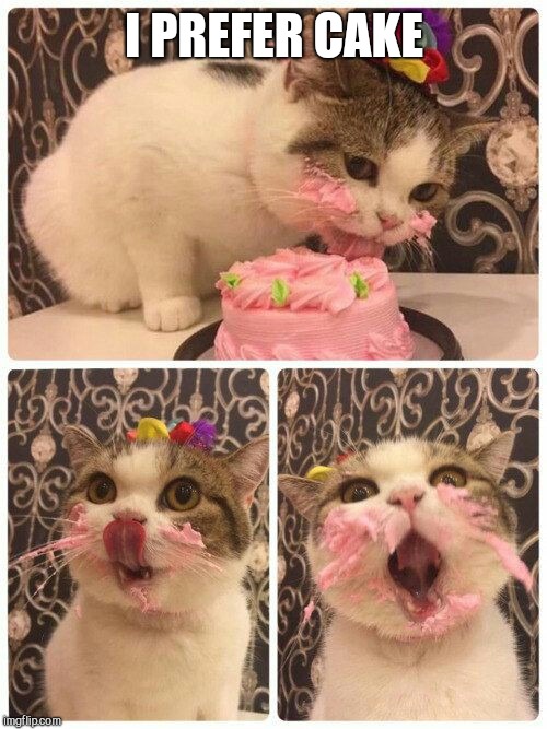 Happy Birthday Cat Imgflip