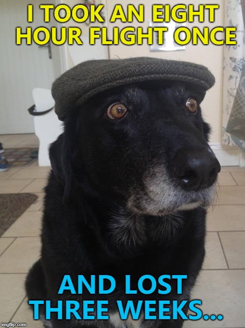 That's what happens when one year equals seven for a dog... ) Imgflip