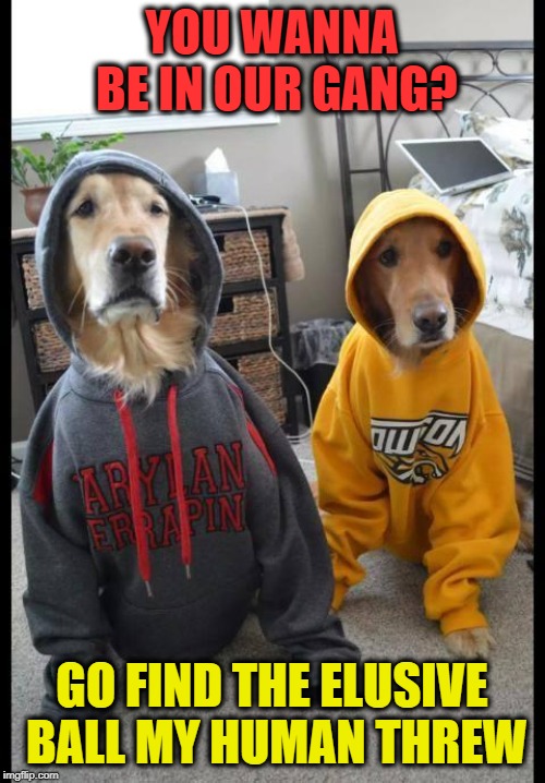 funny Memes & GIFs Imgflip